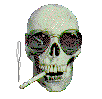 cool smoking skull
